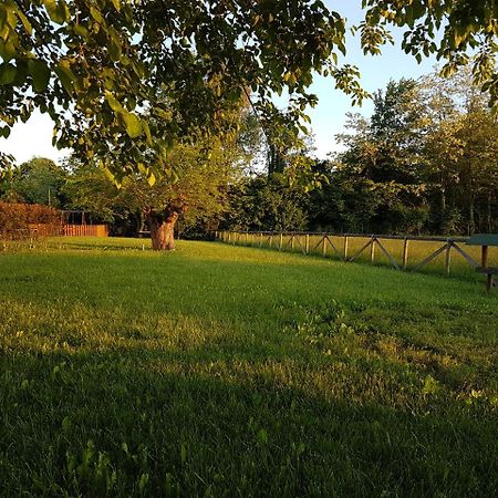 Locanda Veneta Vicenza Zewnętrze zdjęcie