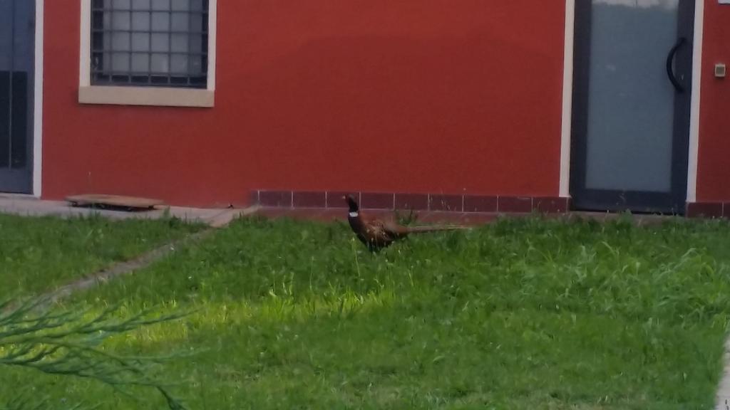 Locanda Veneta Vicenza Zewnętrze zdjęcie