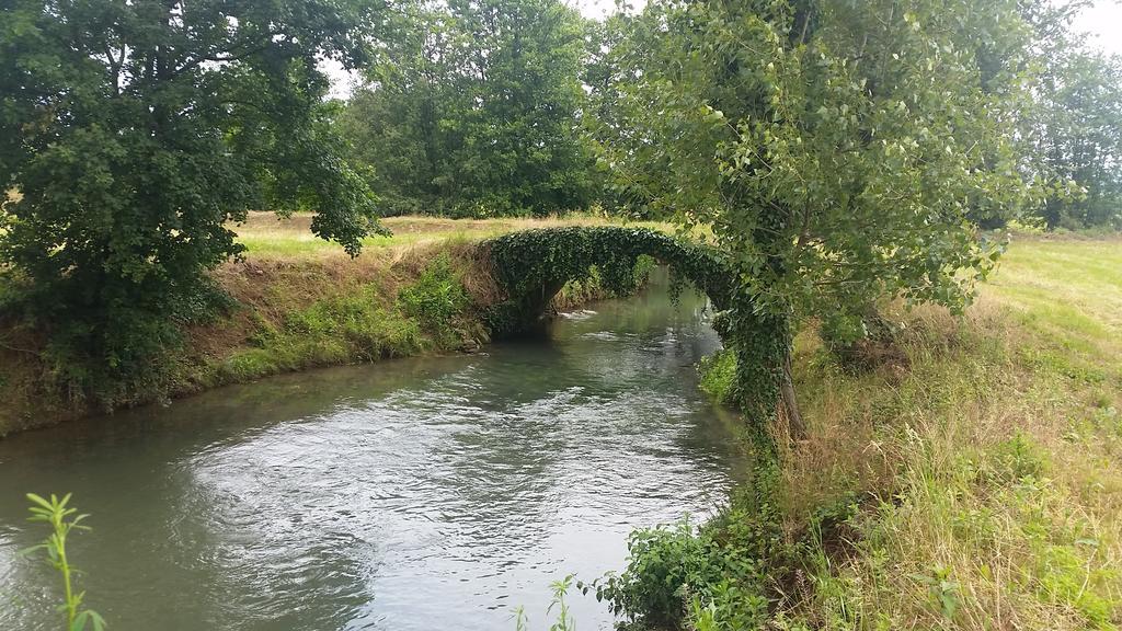 Locanda Veneta Vicenza Zewnętrze zdjęcie