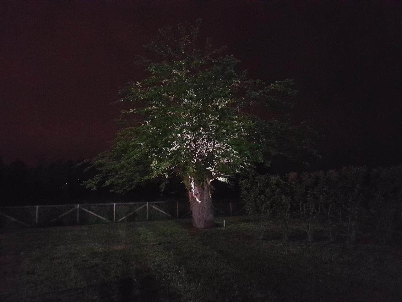 Locanda Veneta Vicenza Zewnętrze zdjęcie